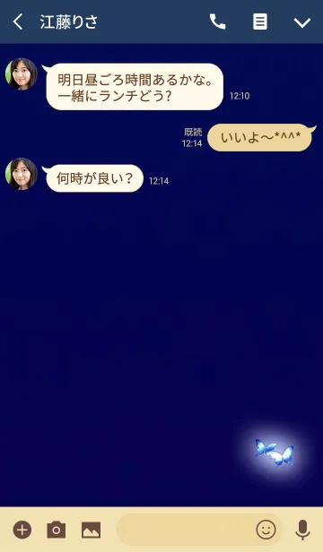 [LINE着せ替え] ダークブルーライトバタフライの画像3