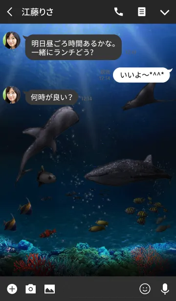 [LINE着せ替え] 水族館 Aquarium3の画像3