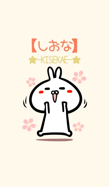 [LINE着せ替え] 【しおな】のかわいいウサギ着せかえの画像1