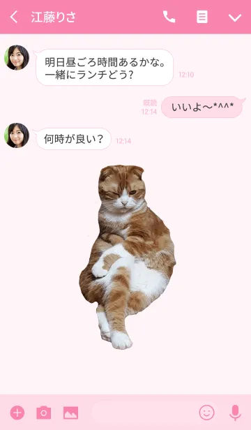 [LINE着せ替え] 我が家のきなこ ～着せかえ～の画像3