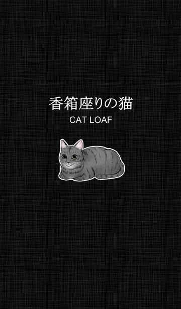 [LINE着せ替え] 香箱座りの猫【アメリカンショートヘア】の画像1