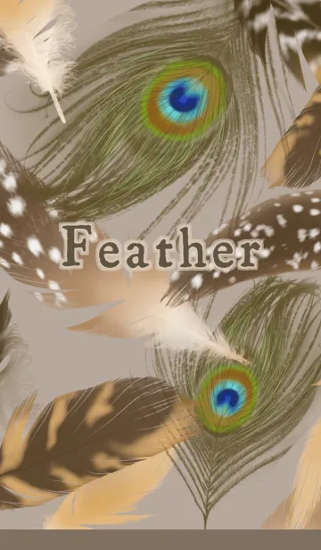 [LINE着せ替え] Feathersの画像1