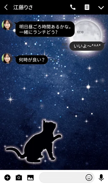 [LINE着せ替え] ★星空とネコ★の画像3