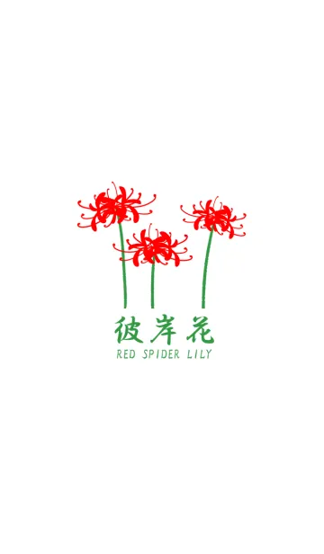 [LINE着せ替え] 彼岸花 ～red spider lily～の画像1