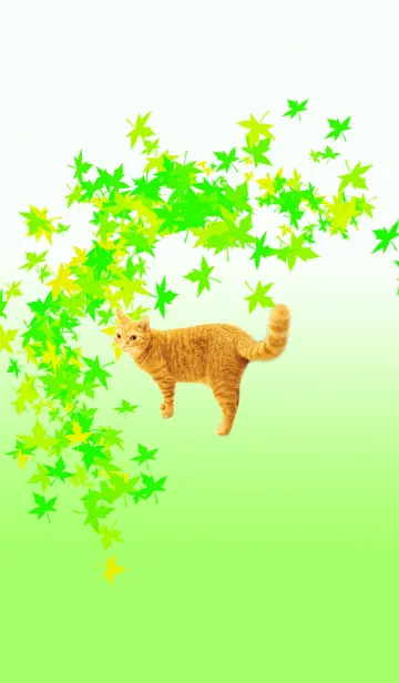 [LINE着せ替え] 猫と緑の紅葉の画像1