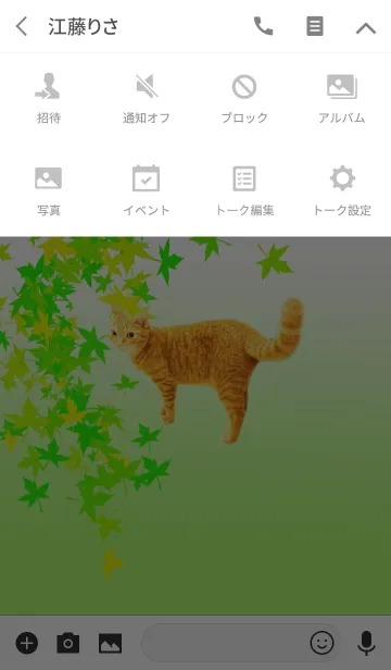 [LINE着せ替え] 猫と緑の紅葉の画像4