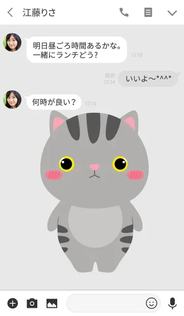 [LINE着せ替え] Face Gray Cat Theme (jp)の画像3