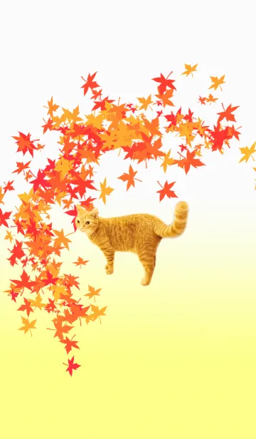 [LINE着せ替え] 猫のいる秋の風景の画像1