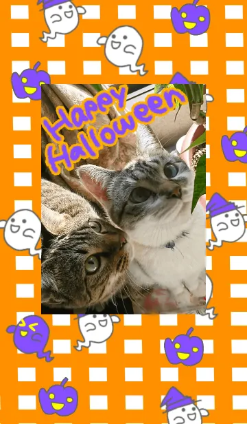 [LINE着せ替え] ネコ☆リリー＆モモのハロウィン着せ替えの画像1