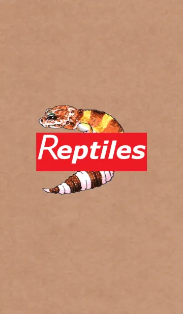 [LINE着せ替え] Reptiles着せ替え[レオパードゲッコー]の画像1
