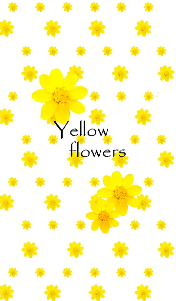 [LINE着せ替え] かわいい黄色い花の画像1