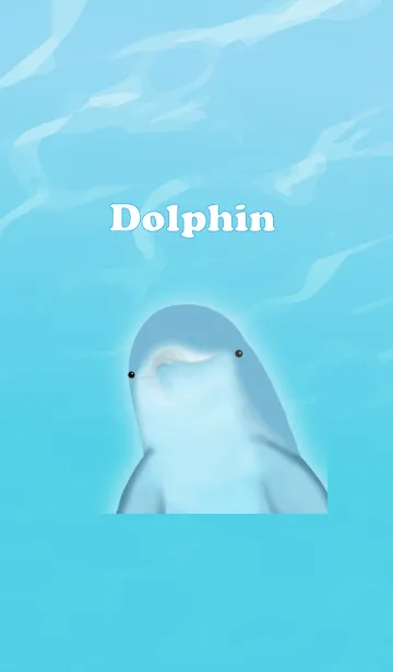 [LINE着せ替え] Dolphin*の画像1