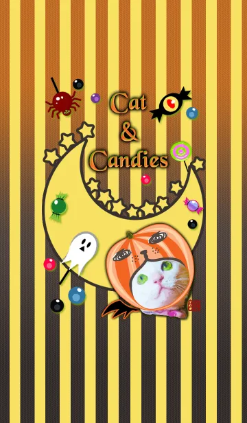 [LINE着せ替え] 明らかに猫とキャンディーズの画像1