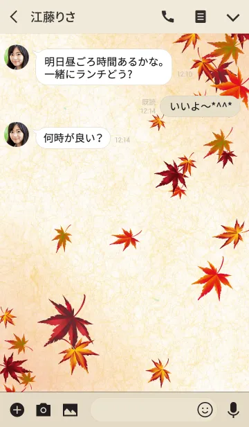 [LINE着せ替え] 日本の美しい紅葉2の画像3