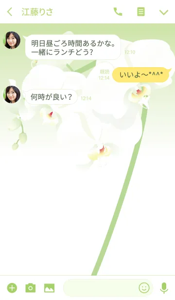 [LINE着せ替え] 胡蝶蘭（花）の画像3