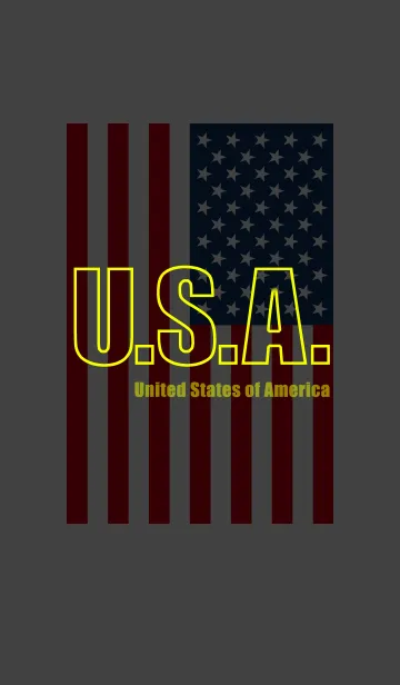 [LINE着せ替え] USA ☆ アメリカの画像1