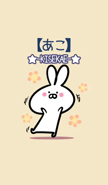 [LINE着せ替え] 【あこ】の大人かわいいウサギの画像1