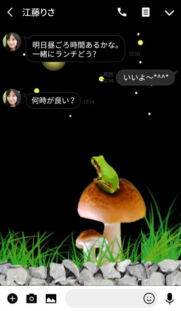 [LINE着せ替え] 星に願いを！カエル君の画像3