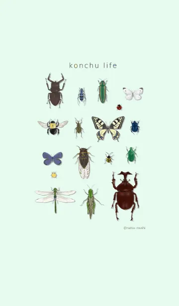 [LINE着せ替え] konchu lifeの画像1