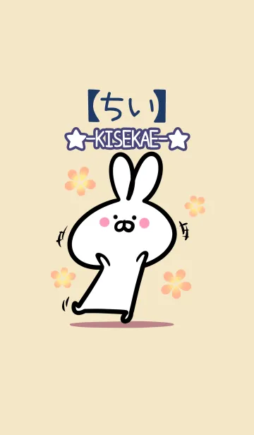 [LINE着せ替え] 【ちい】の大人かわいいウサギの画像1