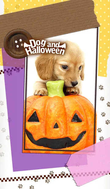 [LINE着せ替え] Dog and Halloween！の画像1