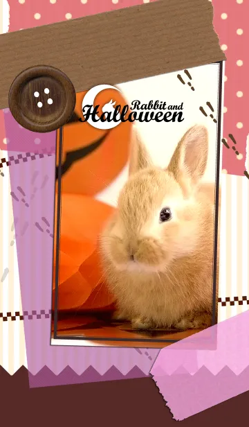 [LINE着せ替え] Rabbit and Halloween！の画像1