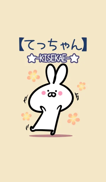 [LINE着せ替え] 【てっちゃん】の大人かわいいウサギの画像1