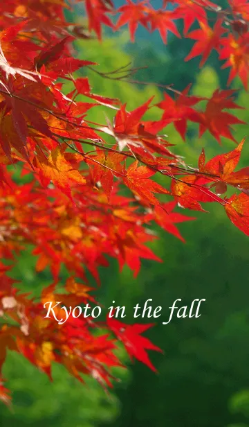 [LINE着せ替え] 秋の京都の画像1