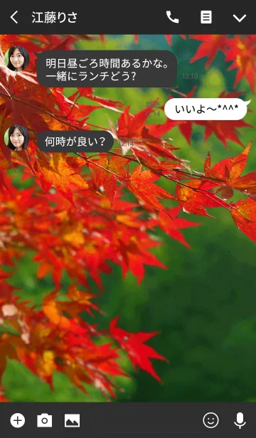 [LINE着せ替え] 秋の京都の画像3
