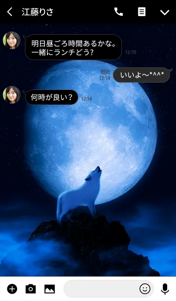 [LINE着せ替え] SolitaryWolfの画像3