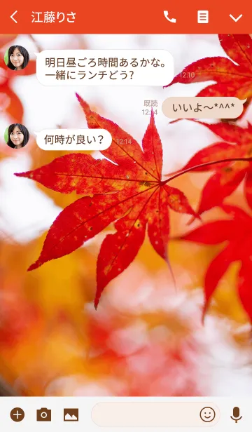 [LINE着せ替え] 紅葉するもみじ 3の画像3