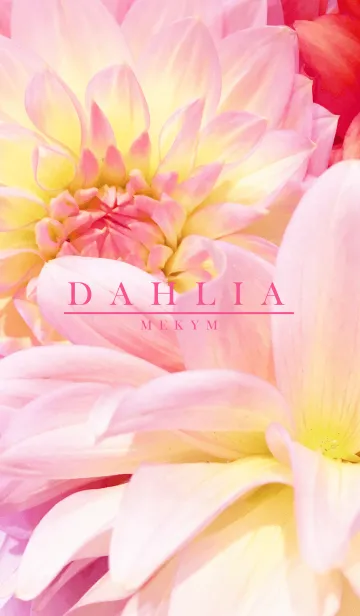 DAHLIA 7 -MEKYM-の着せ替えメイン画像