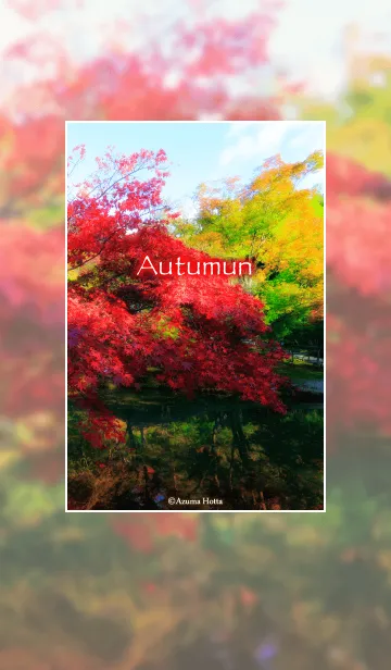 [LINE着せ替え] Autumn -warm color-の画像1