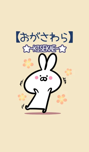 [LINE着せ替え] 【おがさわら】の大人かわいいウサギの画像1