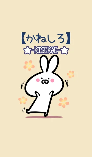 [LINE着せ替え] 【かねしろ】の大人かわいいウサギの画像1