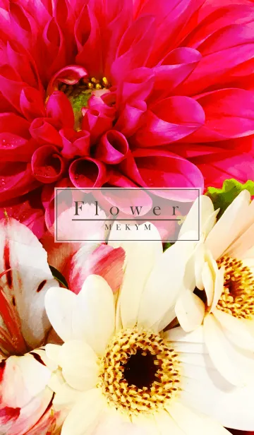 [LINE着せ替え] Flower 2 -MEKYM- @冬特集の画像1