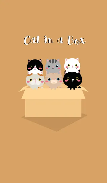 [LINE着せ替え] Cat in The Box Theme (jp)の画像1