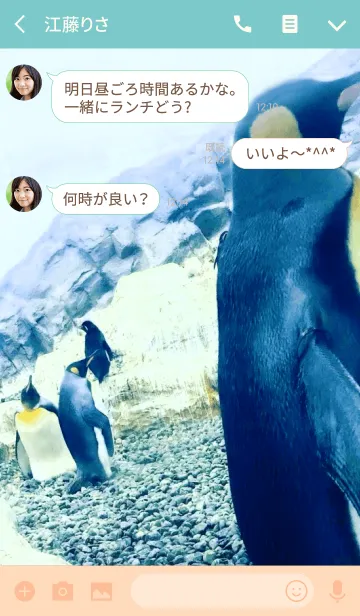 [LINE着せ替え] ペンギンですねの画像3