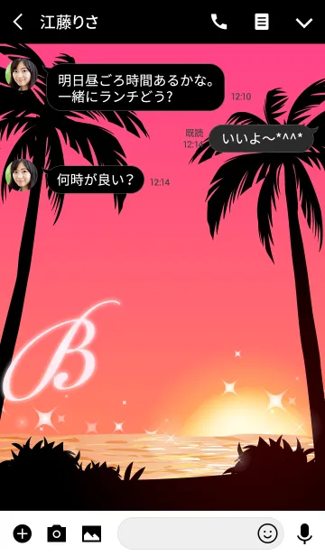 [LINE着せ替え] 【B】イニシャル◆サンセットビーチ1の画像3