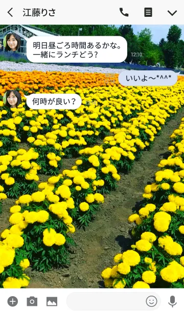 [LINE着せ替え] お花ですね！の画像3