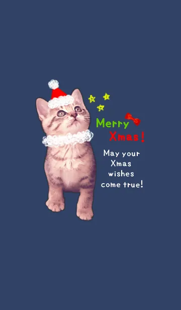 [LINE着せ替え] Pretty Cristmas Cats ☆1 ＠冬特集の画像1