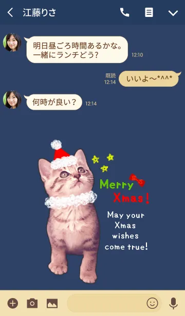 [LINE着せ替え] Pretty Cristmas Cats ☆1 ＠冬特集の画像3