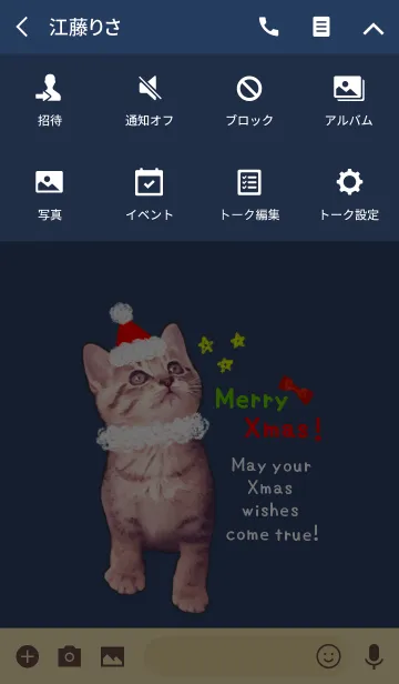 [LINE着せ替え] Pretty Cristmas Cats ☆1 ＠冬特集の画像4