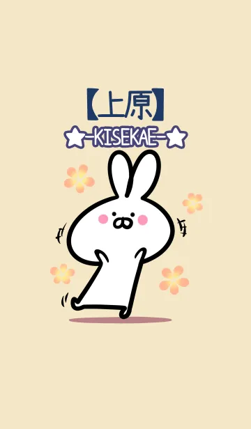 [LINE着せ替え] 【上原】の大人かわいいウサギの画像1