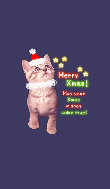 [LINE着せ替え] Pretty Cristmas Cats ☆2 ＠冬特集の画像1