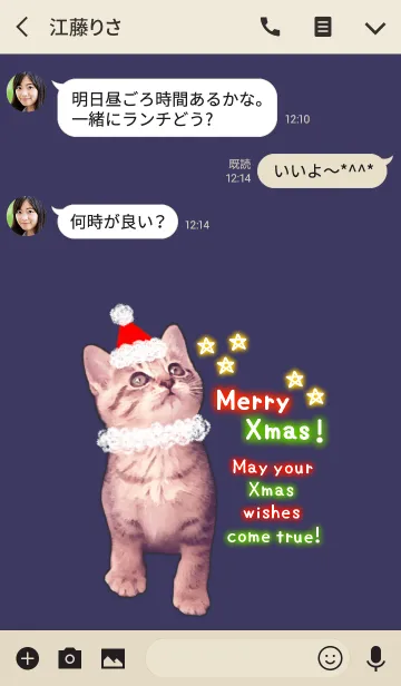 [LINE着せ替え] Pretty Cristmas Cats ☆2 ＠冬特集の画像3