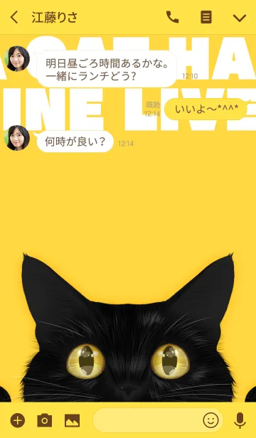 [LINE着せ替え] BLACK CAT -yellow-の画像3