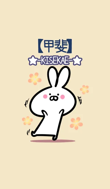 【甲斐】の大人かわいいウサギのLINE着せ替え