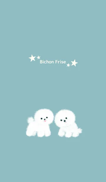 [LINE着せ替え] Bichon Frise☆の画像1
