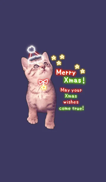 [LINE着せ替え] Pretty Christmas Cats ☆3 ＠冬特集の画像1